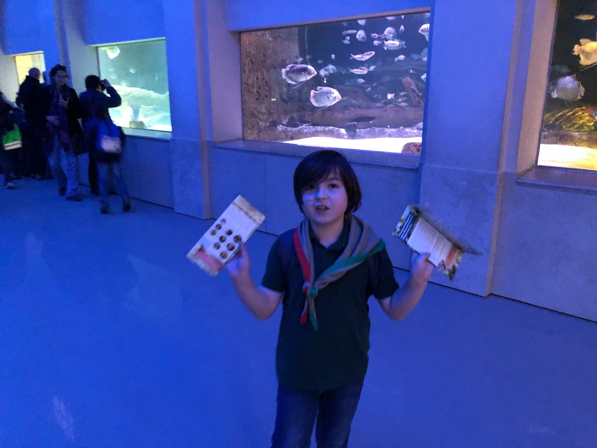 Sint-Martinus den XIIde - Zoo Antwerpen Kapoenen